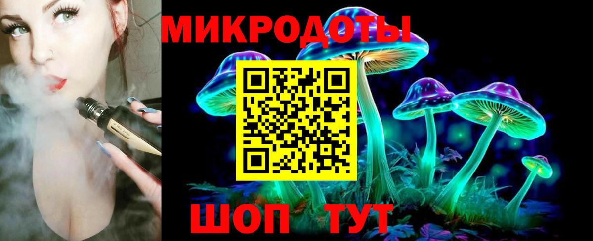 Галлюциногенные грибы Psilocybine cubensis  Вход с VPN  Губкинский 